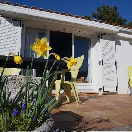 בית נופש Maison 6 Pers A 300m De La Clemenceau, Terrasse Plein Sud, Proche Commodites - Sur - Fr-1-194-374 *
