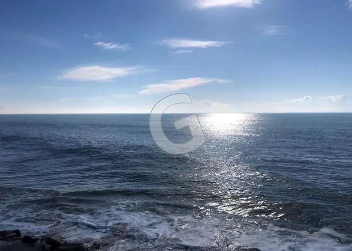 Maison 6 Pers A 300m De La Clemenceau, Terrasse Plein Sud, Proche Commodites - Sur - Fr-1-194-374